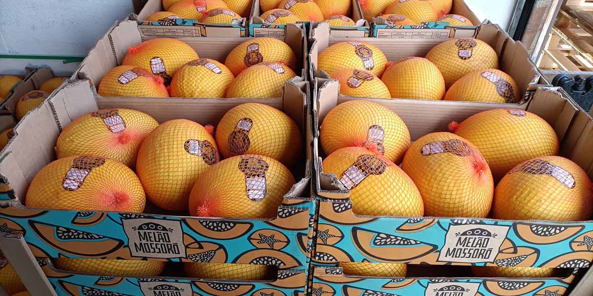 I meloni gialli trainano le vendite della frutta importata